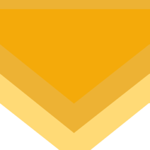 Corporate Membership - Gold